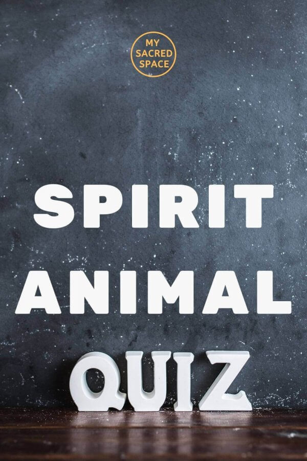 accurate spirit animal quiz
