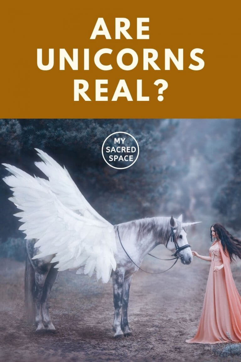 What Does a Unicorn Spirit Animal Mean and Symbolize? My Sacred Space