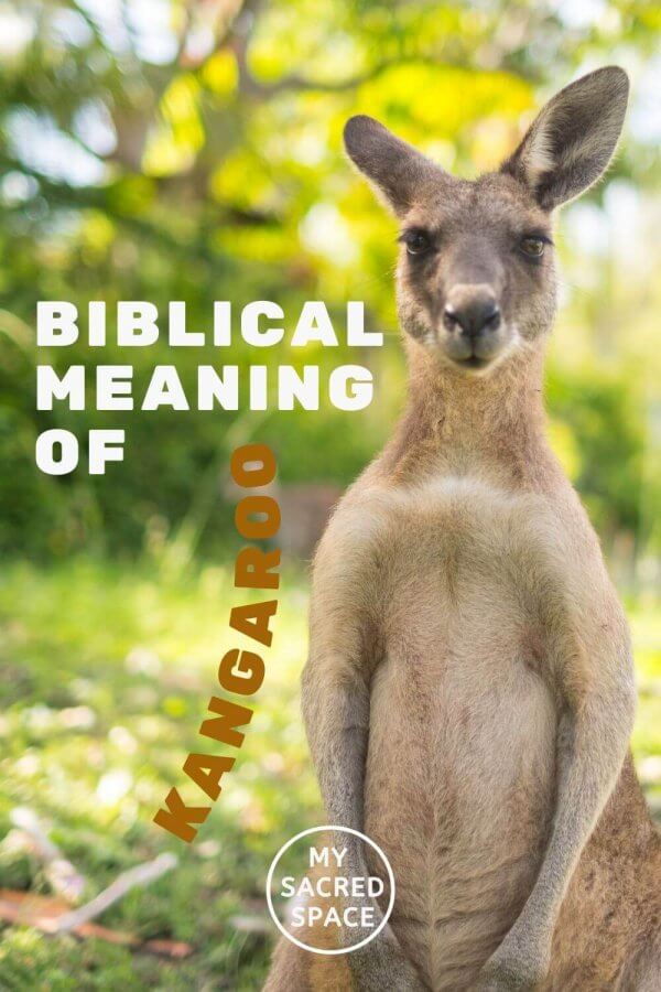 What Does a Kangaroo Spirit Animal Mean and Symbolize? My Sacred