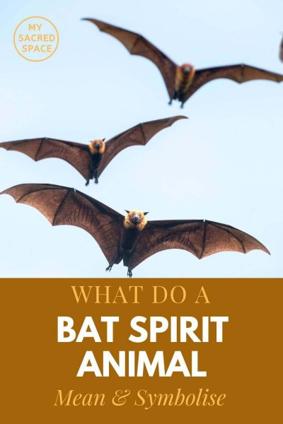 what do a bat spirit animal mean and symbolise