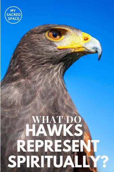 what do hawks represent spiritually