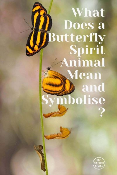 what does a butterfly spirit animal mean