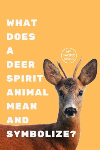 what does a deer spirit animal mean and symbolize