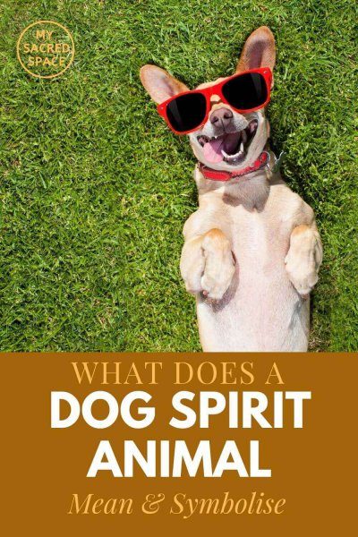 what does a dog spirit animal mean and symbolise
