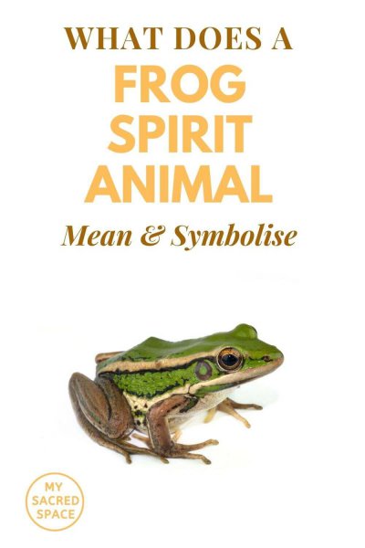 what does a frog spirit animal mean and symbolise