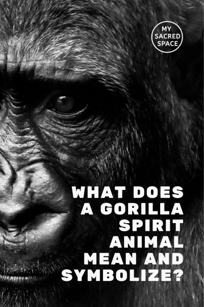 what does a gorilla spirit animal mean and symbolize