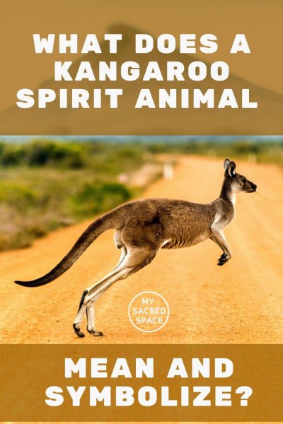 what does a kangaroo spirit animal mean and symbolize
