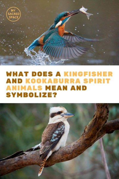 what does a kingfisher and kookaburra spirit animal mean and symbolize