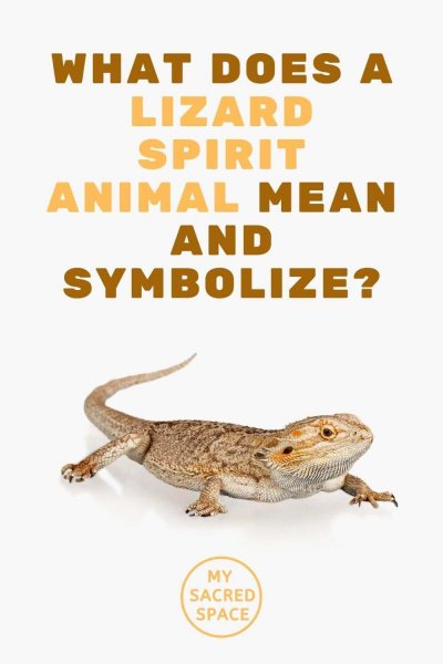 what does a lizard spirit animal mean and symbolize