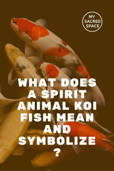 what does a spirit animal koi fish mean and symbolize