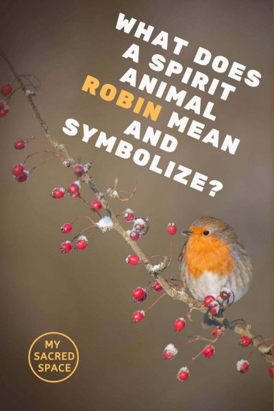 what does a spirit animal robin mean and symbolize