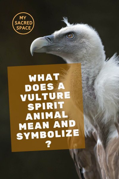 what does a vulture spirit animal mean and symbolize