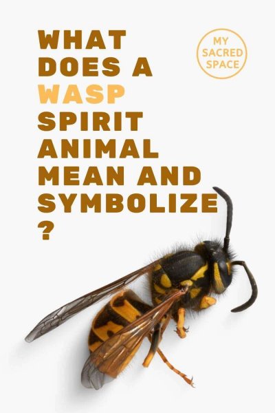What Does a Wasp Spirit Animal Mean and Symbolize? - My Sacred Space Design