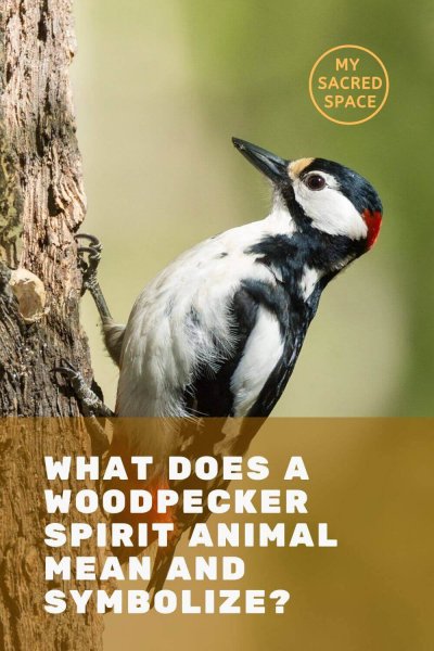 what does a woodpecker spirit animal mean and symbolize