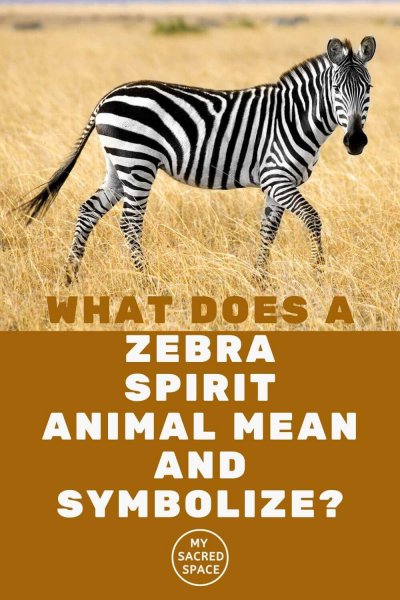 what does a zebra spirit animal mean and symbolize
