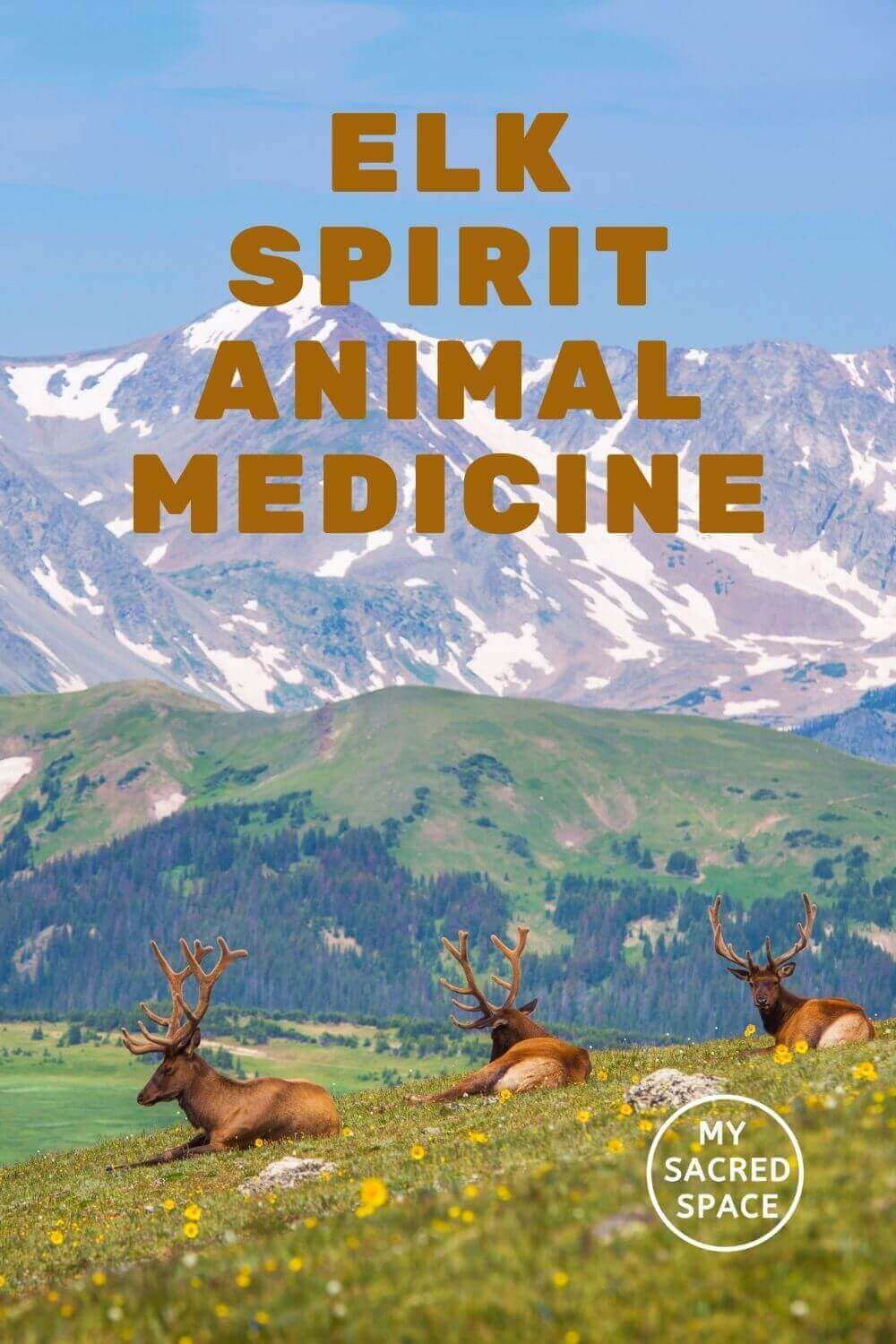 What Does an Elk Spirit Animal Mean and Symbolize? My Sacred Space Design