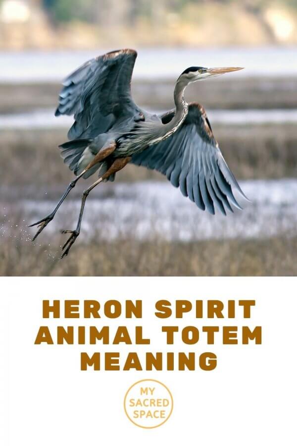 What Does a Heron Spirit Animal Mean and Symbolize? My Sacred Space