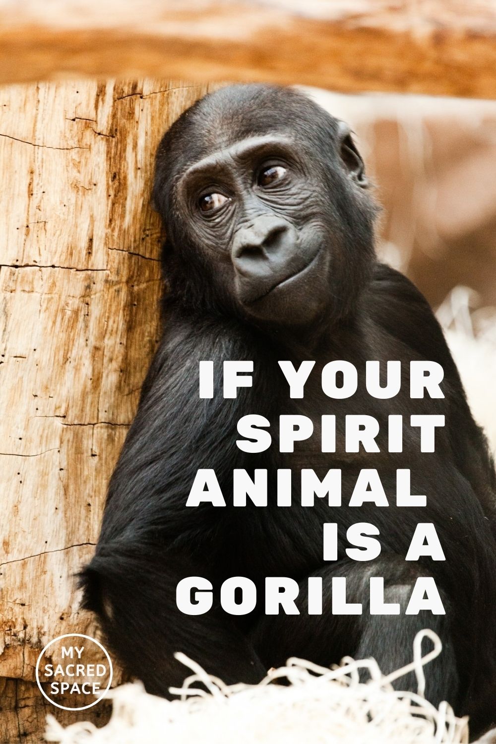 What Does a Gorilla Spirit Animal Mean and Symbolize? My Sacred Space