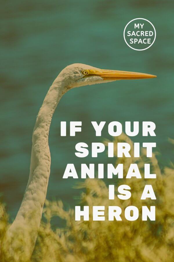 What Does a Heron Spirit Animal Mean and Symbolize? My Sacred Space