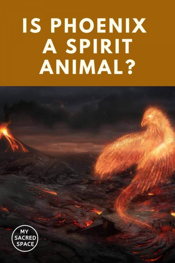 Can A Phoenix Be a Spirit Animal? And What Are the Origins of Phoenix? My Sacred Space Design