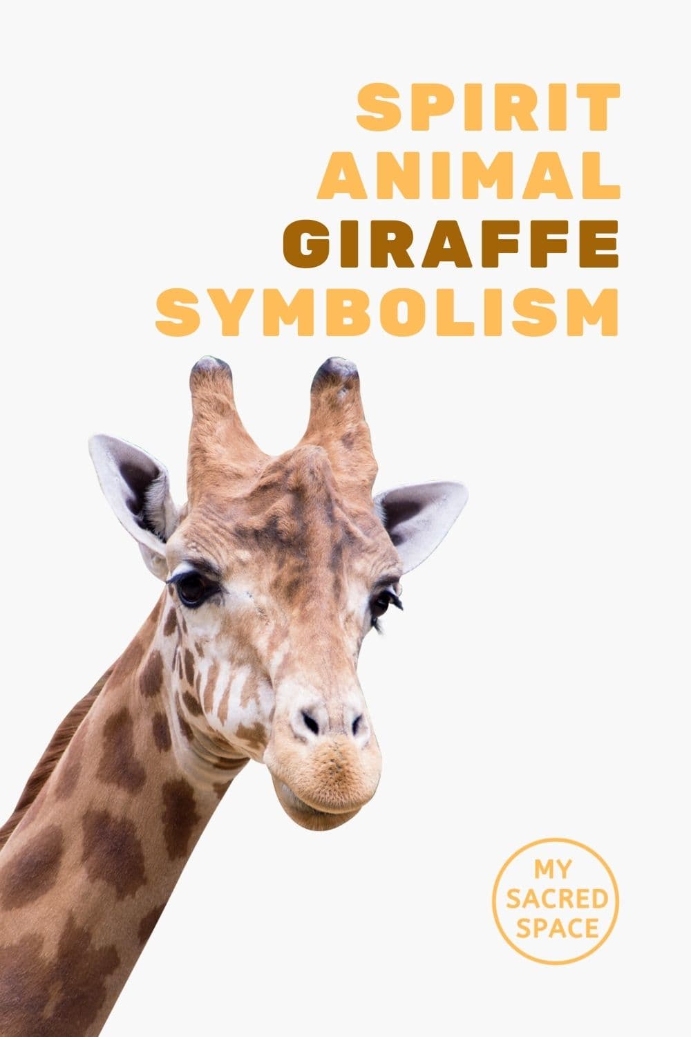What Does A Giraffe Spirit Animal Mean And Symbolize My Sacred Space Design