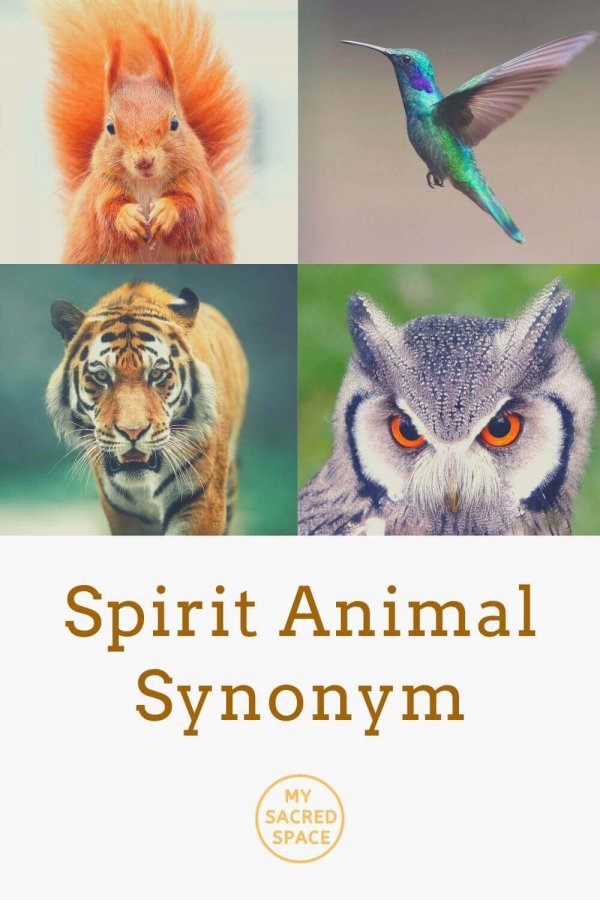 What Is The Purpose Of A Spirit Animal My Sacred Space Design