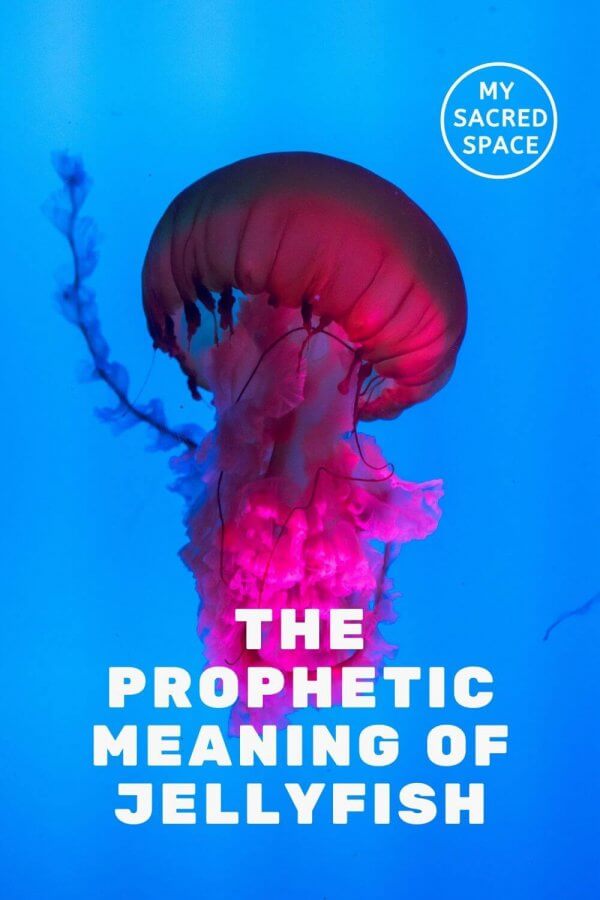 What Does a Jellyfish Spirit Animal Mean and Symbolize? My Sacred Space Design