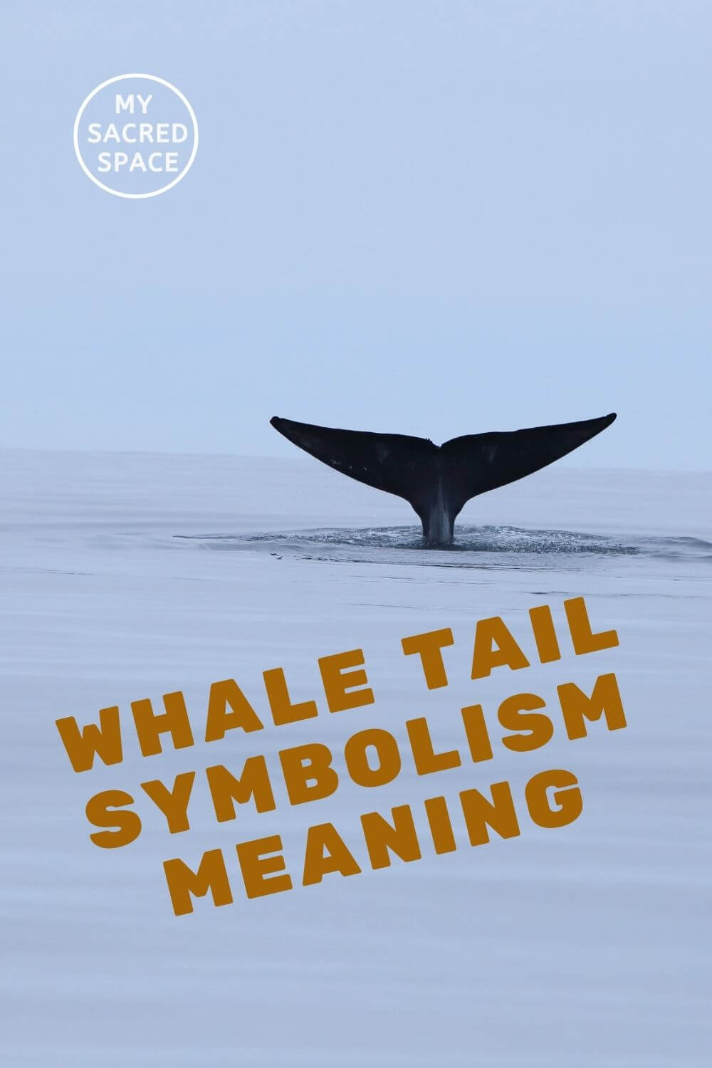 What Does a Whale Spirit Animal Mean and Symbolize? My Sacred Space