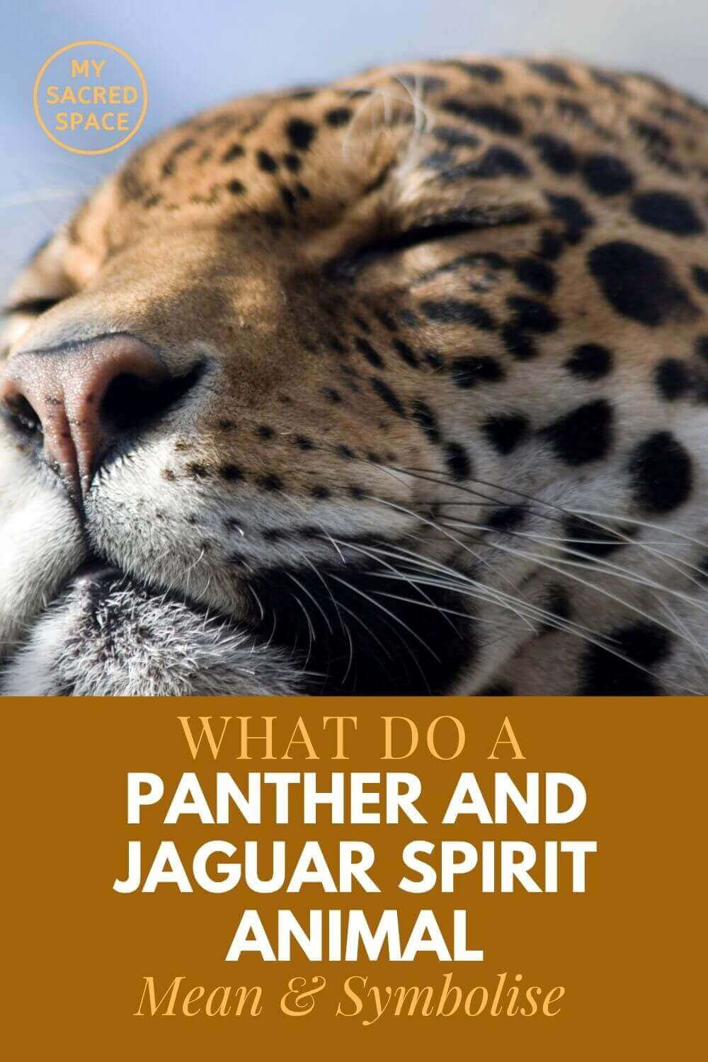 What Do a Jaguar Spirit Animal and a Panther Spirit Animal Mean and  Symbolize? - My Sacred Space Design