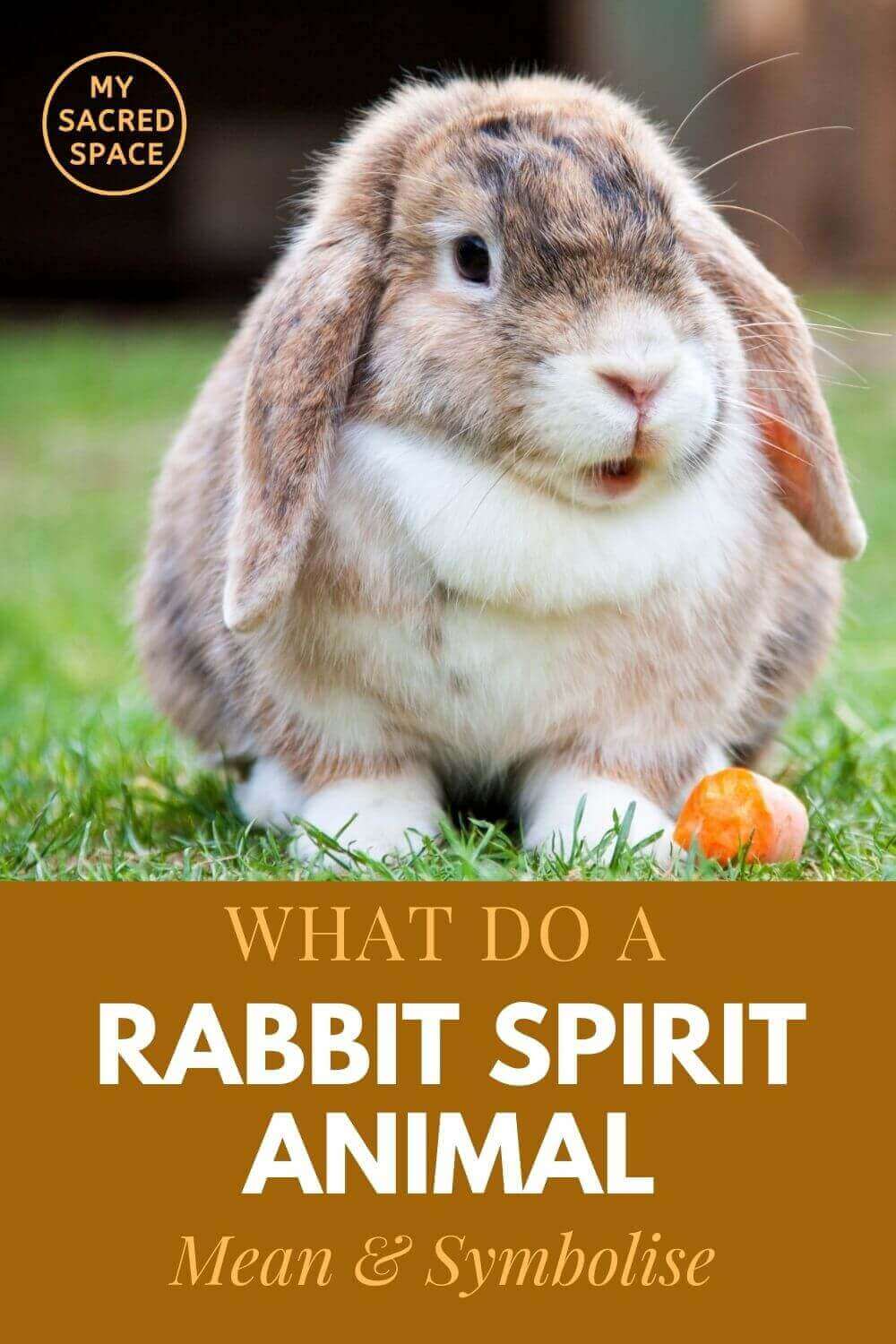 What Does a Rabbit Spirit Animal Mean and Symbolize? - My Sacred Space  Design