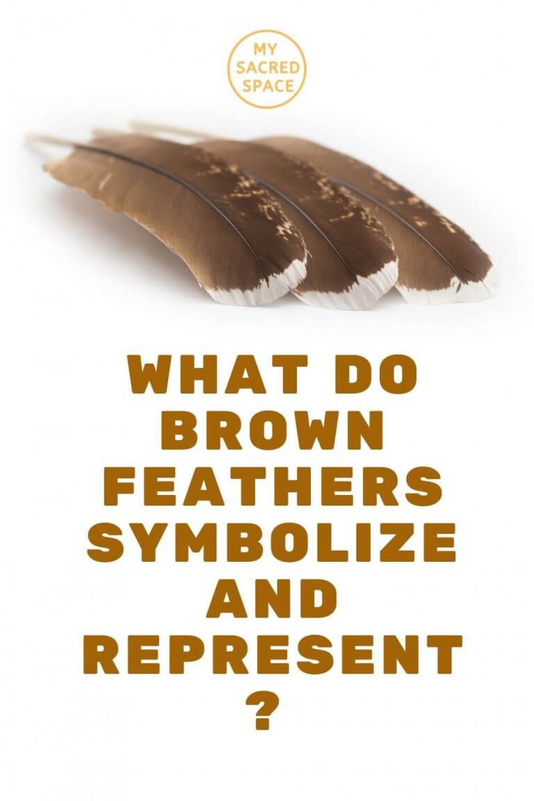 What Do Colored Feathers and Different Feathers Symbolize? My Sacred