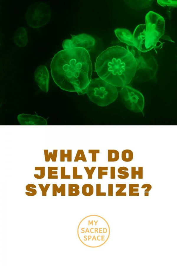 What Does a Jellyfish Spirit Animal Mean and Symbolize? My Sacred