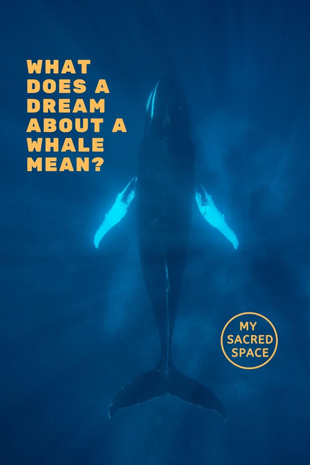 What Does a Whale Spirit Animal Mean and Symbolize? My Sacred Space