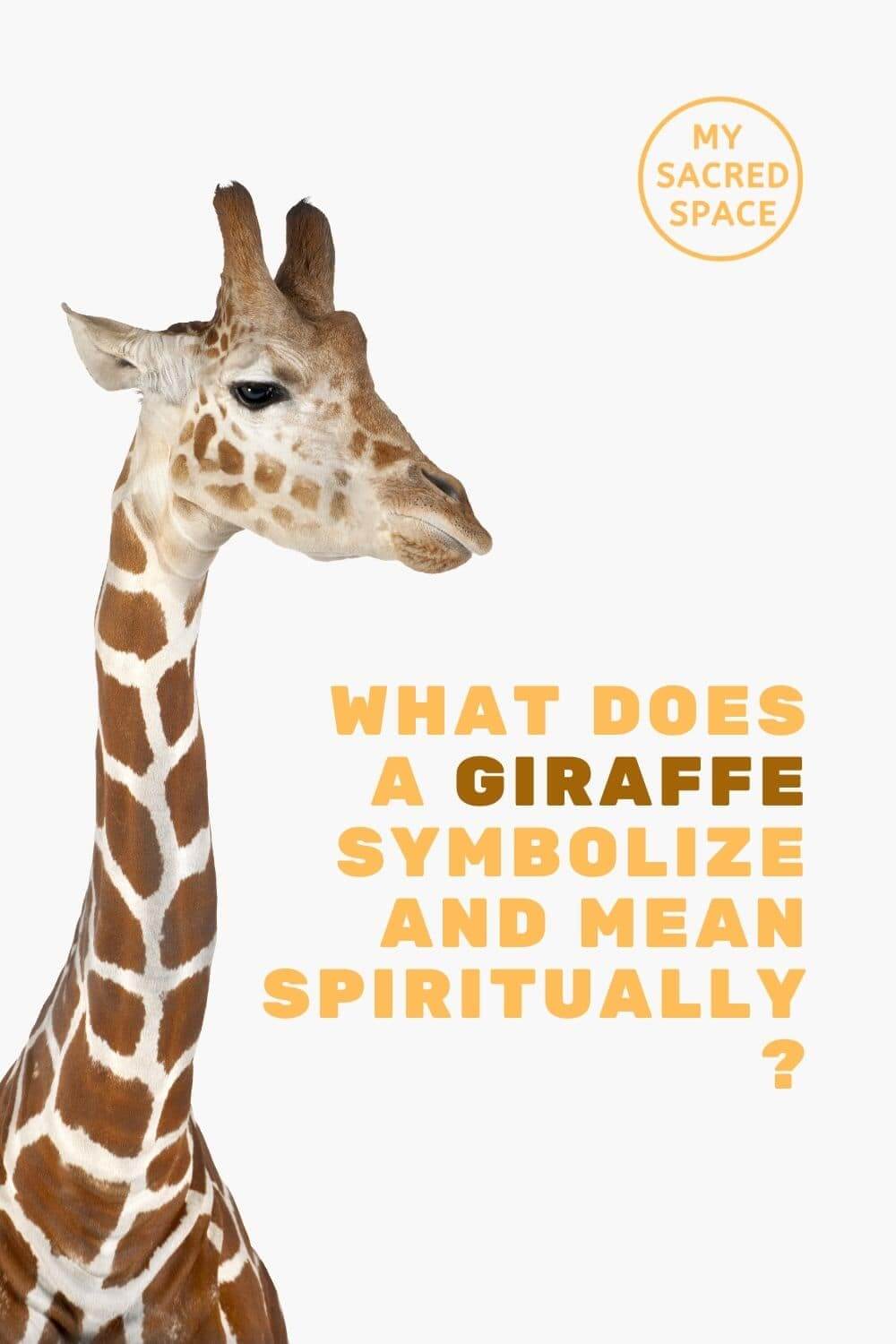 What Does A Giraffe Spirit Animal Mean And Symbolize My Sacred Space Design