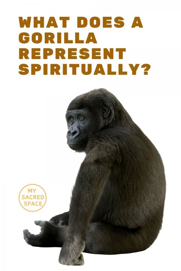 What Does a Gorilla Spirit Animal Mean and Symbolize? My Sacred Space