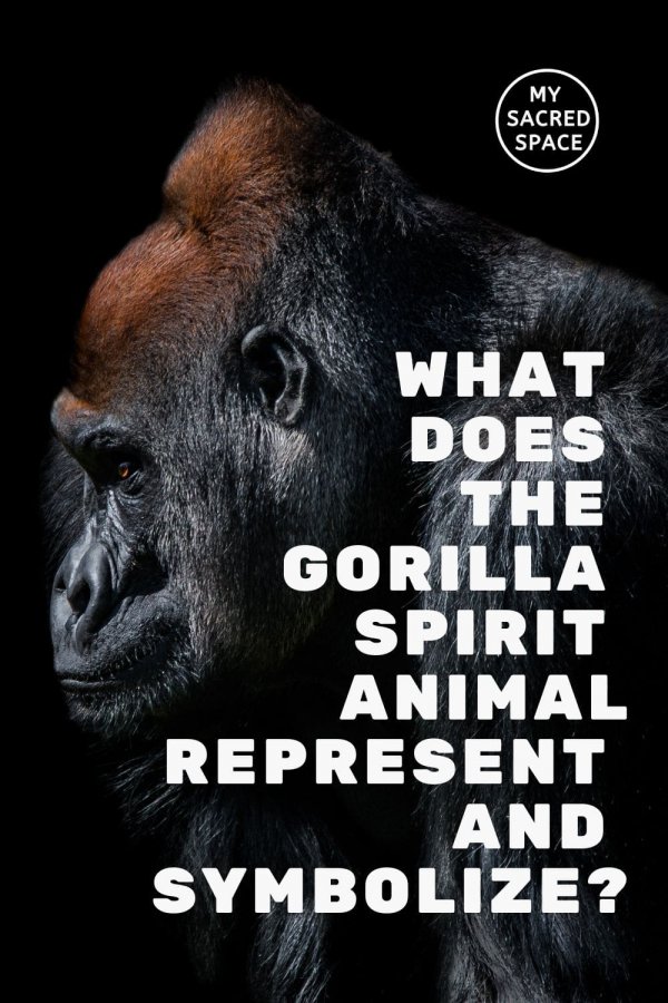 What Does a Gorilla Spirit Animal Mean and Symbolize? My Sacred Space
