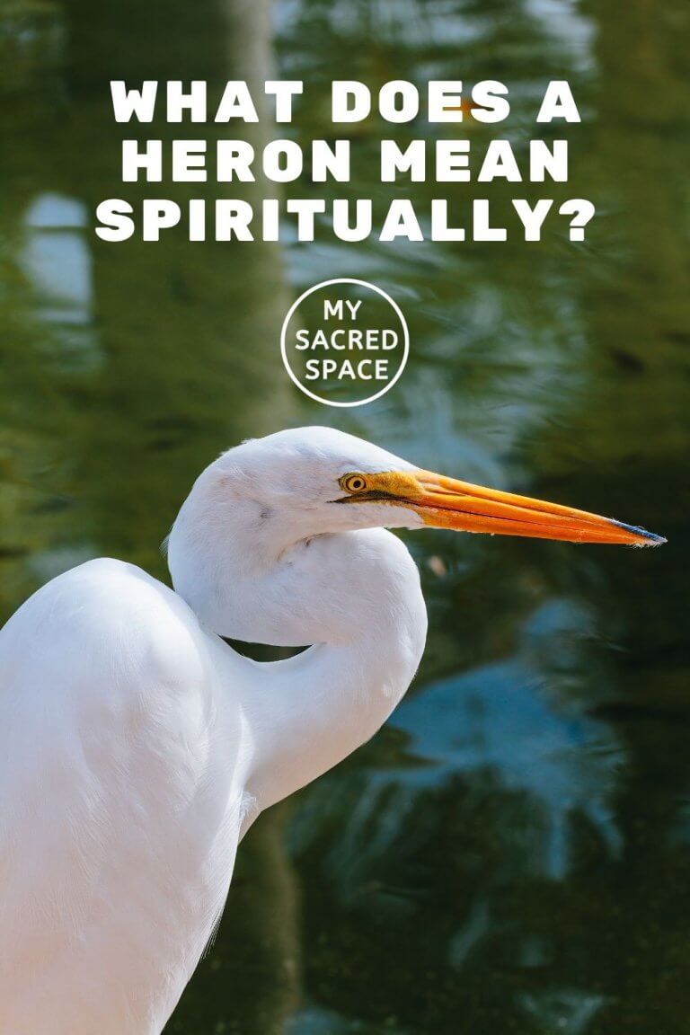 What Does a Heron Spirit Animal Mean and Symbolize? My Sacred Space