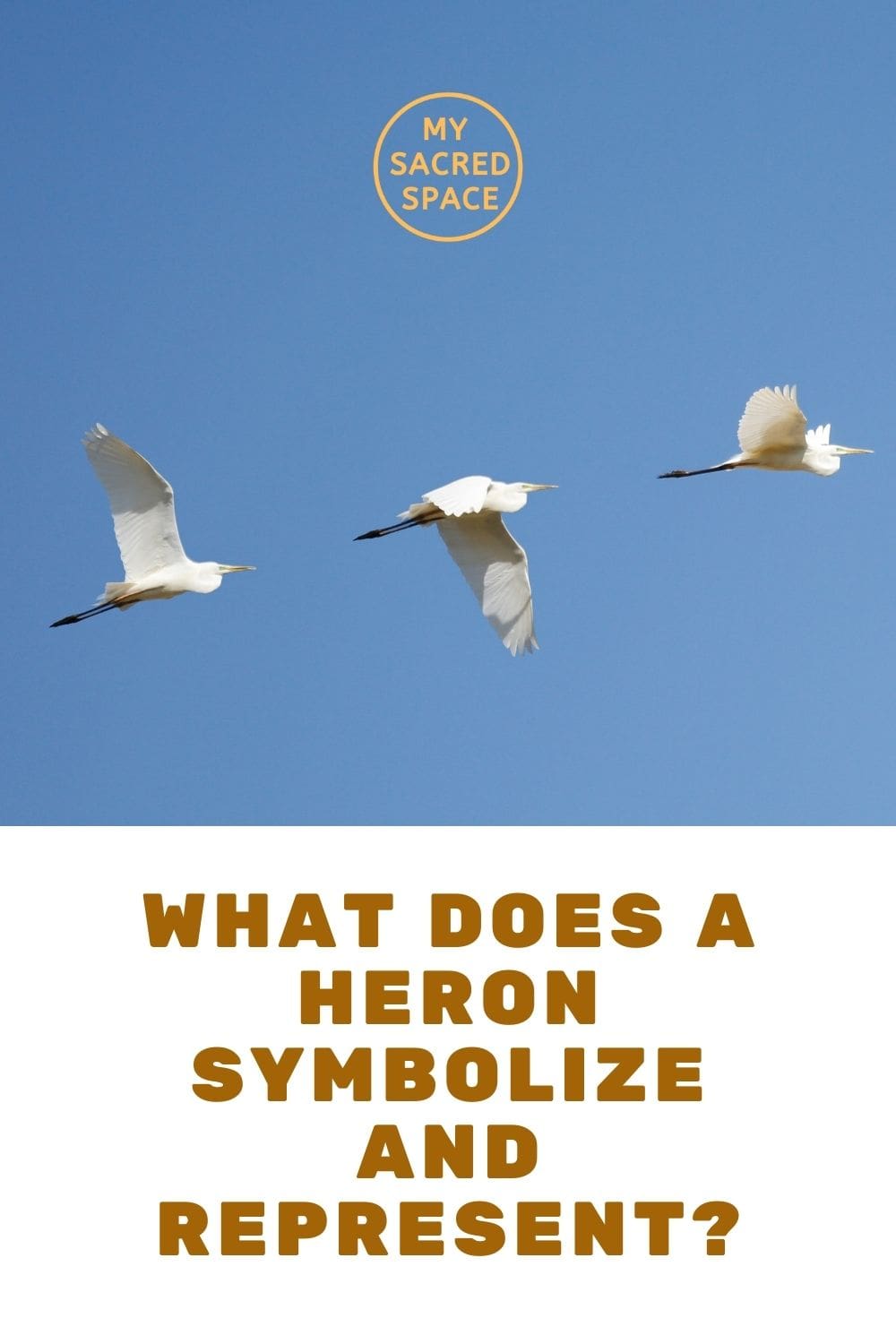 What Does a Heron Spirit Animal Mean and Symbolize? My Sacred Space