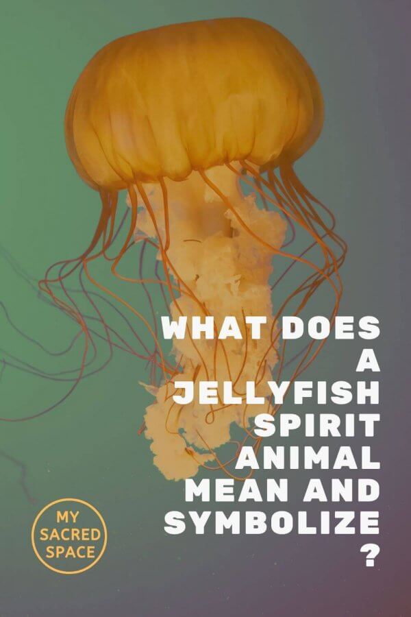 what does a jellyfish spirit animal mean and symbolize