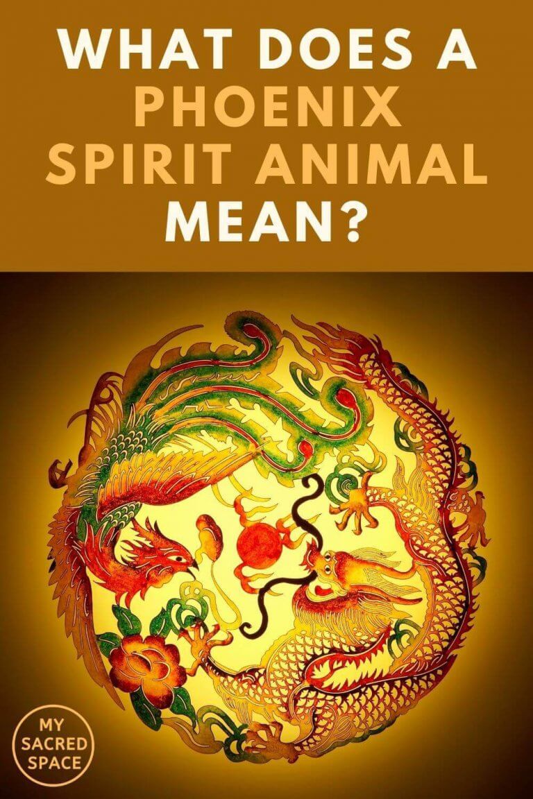 What Phoenix Means And What Does Phoenix Represent My Sacred Space