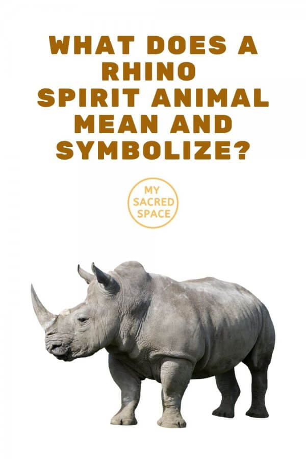 what does a rhino spirit animal mean and symbolize
