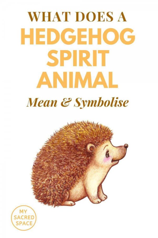 what does a spirit animal hedgehog mean and symbolise