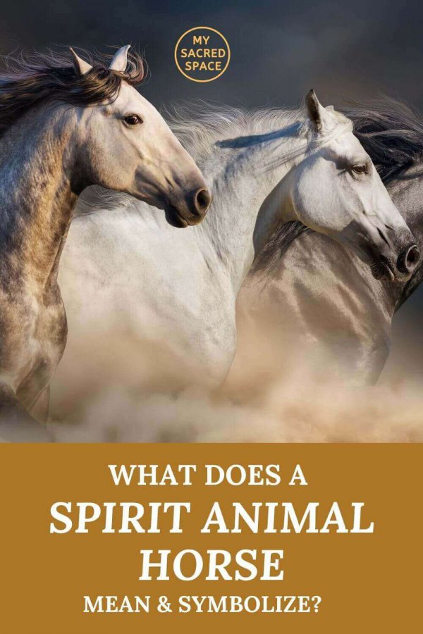 what does a spirit animal horse mean and symbolize