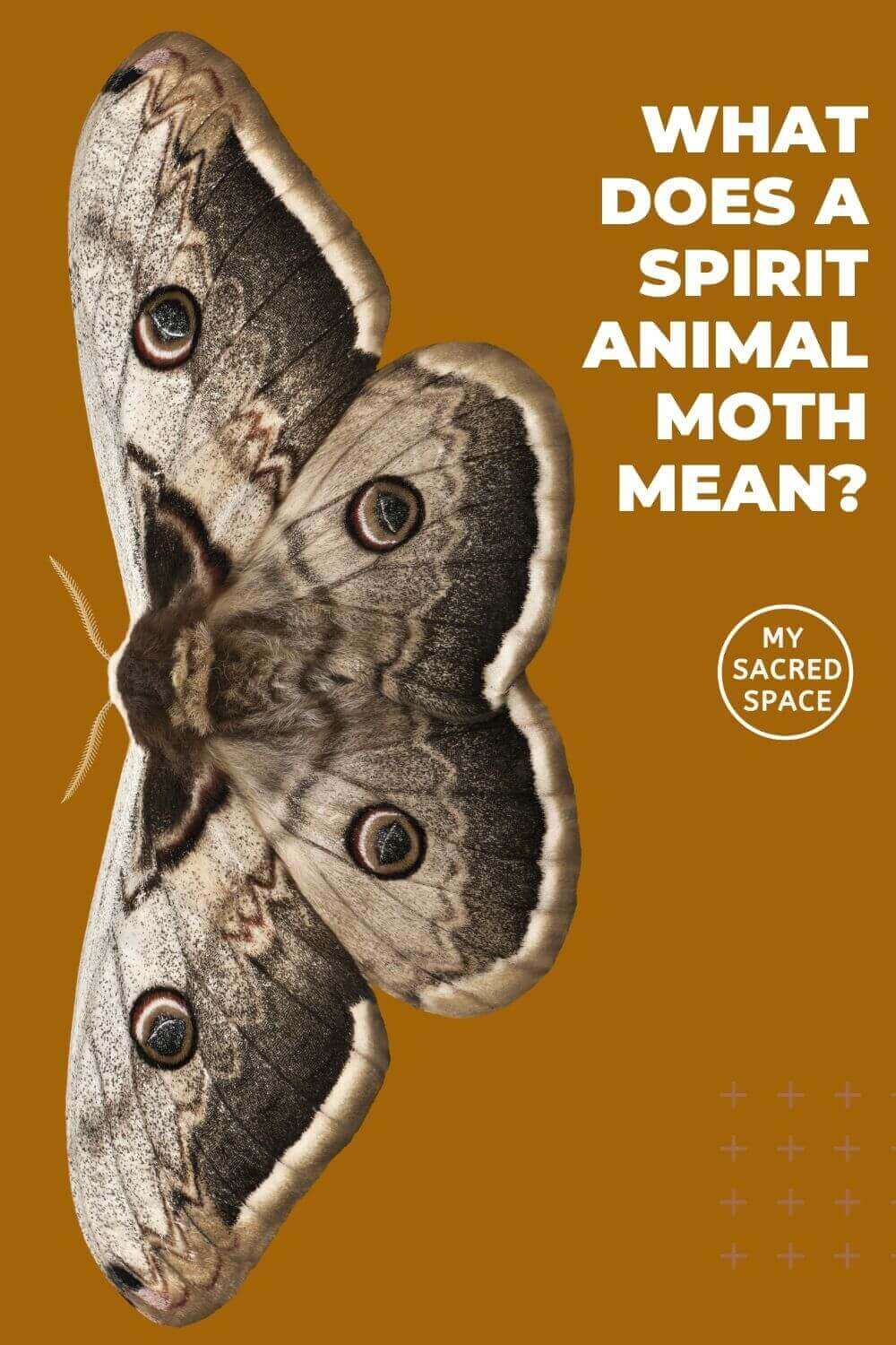 What Does A Moth Spirit Animal Mean And Symbolize My Sacred Space Design