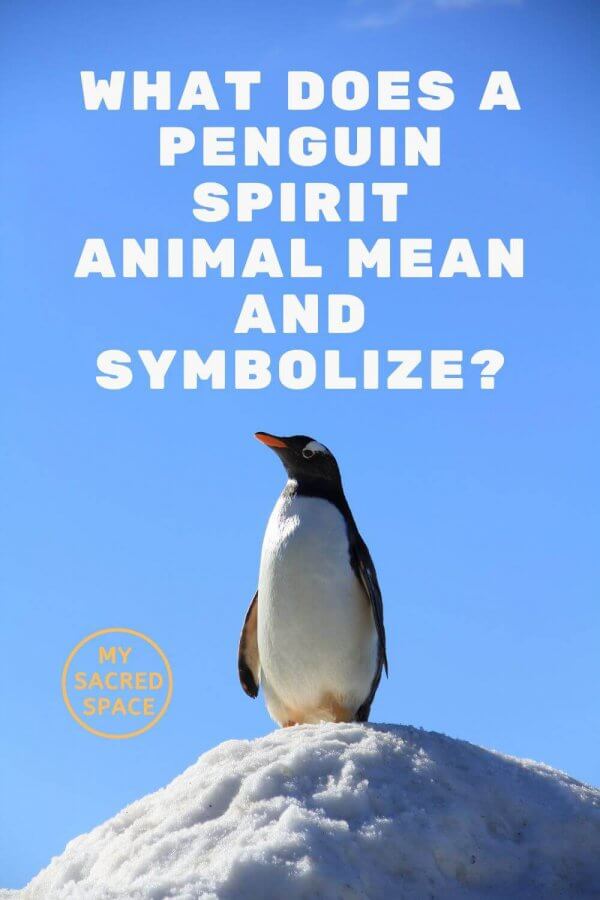 what does penguin spirit animal mean and symbolize