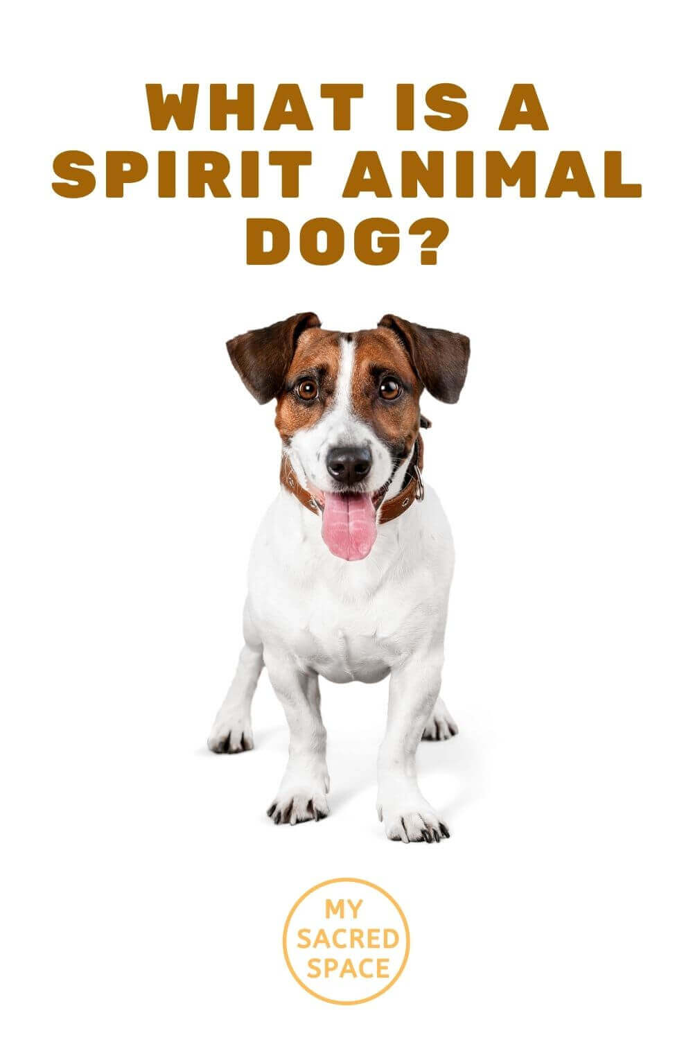 What Does A Dog Spirit Animal Mean And Symbolize My Sacred Space Design