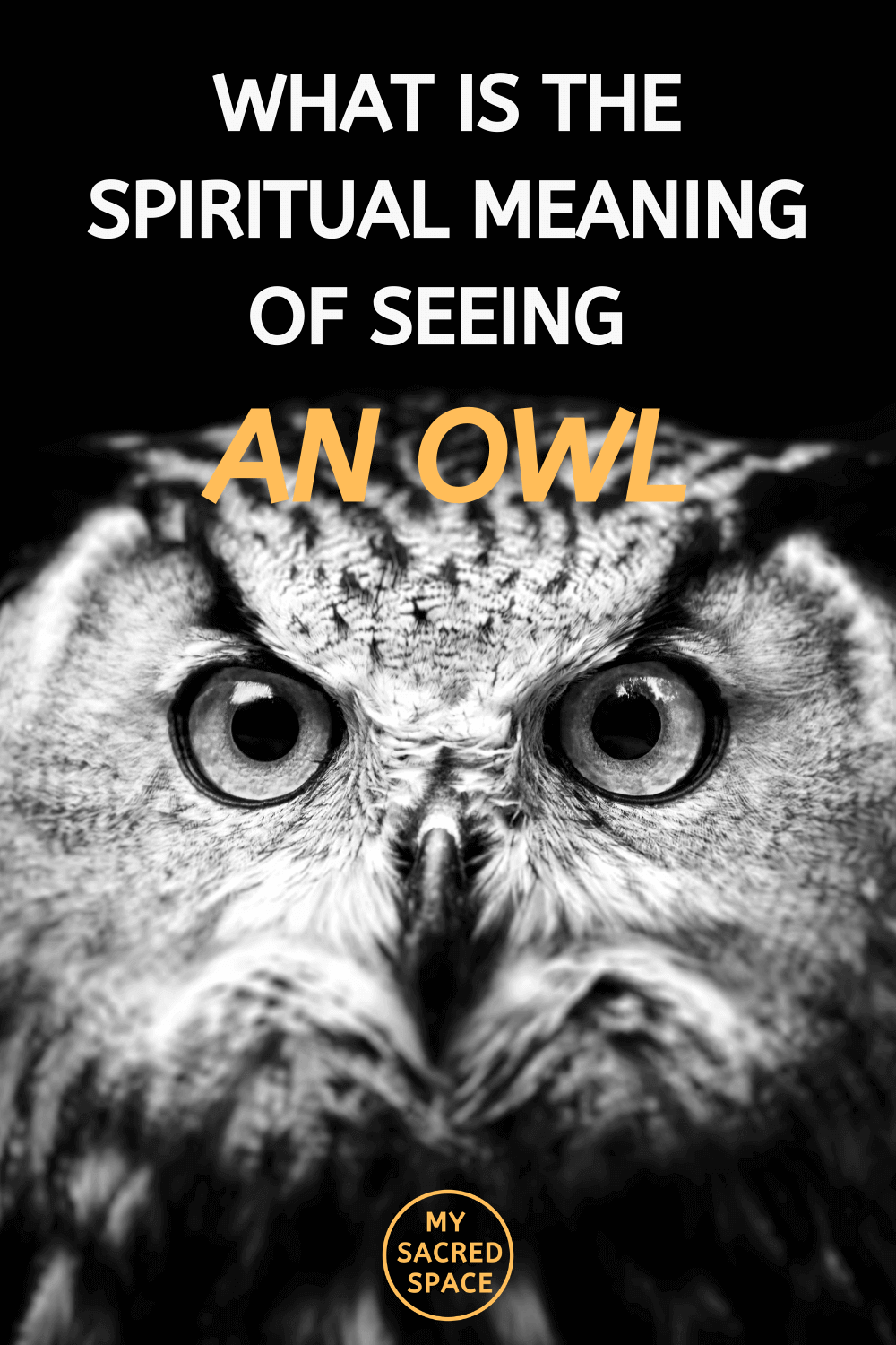 What is the Spiritual Meaning of Seeing an Owl Spirit Animal? - My Sacred  Space Design