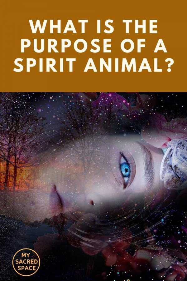 what is the purpose of a spirit animal