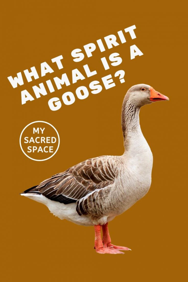 What Does a Goose Spirit Animal Mean and Symbolize? My Sacred Space